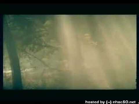 Fly with me - Shui Mu Nian Hua