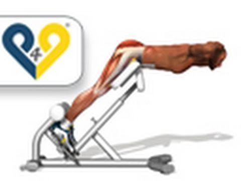 muscles lombaires - Extension du buste
