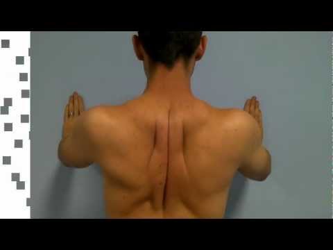 how to relieve right shoulder blade pain
