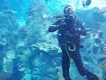 Aquarium of the Pacific