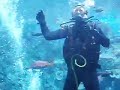 Aquarium of the Pacific