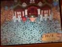 ACWW:my house for summer!