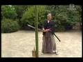 Great tameshigiri by Ueki sensei