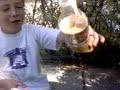 coca y mentos