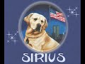 September 11th Dog Heros Triubute