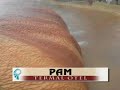 Pam Termal (T�rkce)