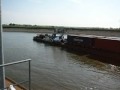Schubverband auf der Elbe - Teil 3