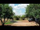 Brazilian Nature Trip   - Vol 1