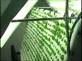 Aeroponic Flex Crop Production Panel