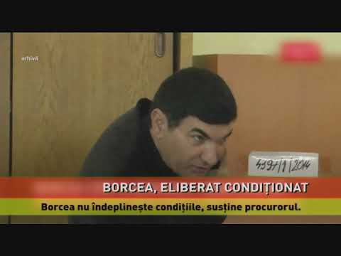 Cristian Borcea, eliberat condiționat din închisoare
