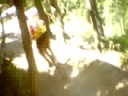 woodpark vallnord colomina team 2