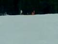 Skipret met D'haene