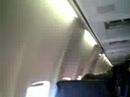 Bees on a Plane