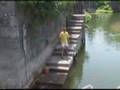 Skadar lake - Montenegro