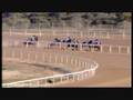 ΑΤΡΙΝΑ (Τσεργάς) 3η Ιπποδρομία 15.10.2008
