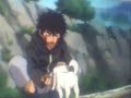Akumaru And Kiba Tribute Akumaru And Kiba Tribute