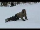 Bad Landing