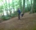 aia bazz rope swing
