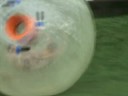 Dan Chalkley Zorb Dan Chalkley Zorb