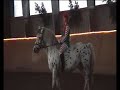 pippi longstocking/ pippi langstrumpf