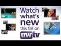 Watch what's new this fall on UWTV!