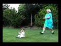 büyük anne büyük anne