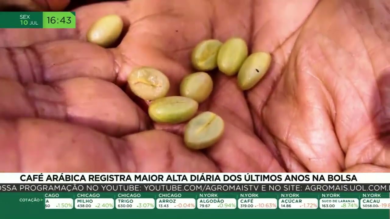 Café arábica registra maior alta diária dos últimos anos na bolsa