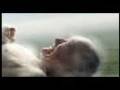 videos de Nasce e morre