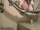 Funny Moments