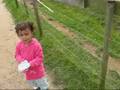 Jasmin feeds sheep!