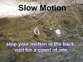 How to Cast