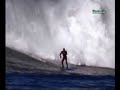 Antojitos el surfista
