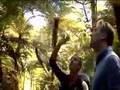 Ben Fogle, Day 2: New Zealand Video Diaries