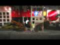 Alfabaco94@youtube