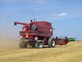 Combine Harvesting 2007 ( moisson en france)