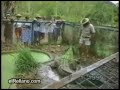 videos de risa 3 (animales).wmv videos de risa 3 (animales).wmv