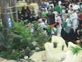 اليوم الوطني في المدينه 3