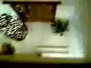 House Burning Parral Chihuahua