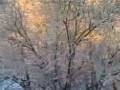 Alaska Winter Anchorage - YouTube