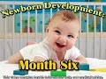 Newborn Development Month 6 (Baby Health Guru)