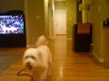 butkus.html