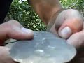 caddo blade part5