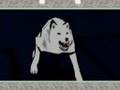 Okami Ending Part 3 - Furball Gets Loads Of Prayers