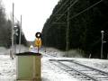 C.,comboio,crossing