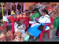 Chapingo :: Feria de la Cultura Rural y Feria del Libro