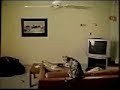 Cea mai idioata pisica =))