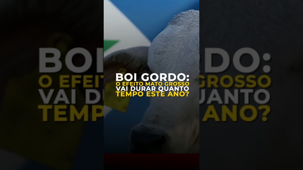 BOI GORDO: O EFEITO MATO GROSSO VAI DURAR QUANTO TEMPO ESTE ANO?
