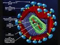 an-interview-regarding-the-origin-of-aids-pt-2.html