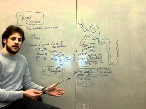 clearance - Dr. G explains how to think about conceptually and calculate renal clearance of any substance (including free water clearance). Also, he explains how GFR is ...