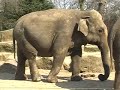 dagje dierentuin